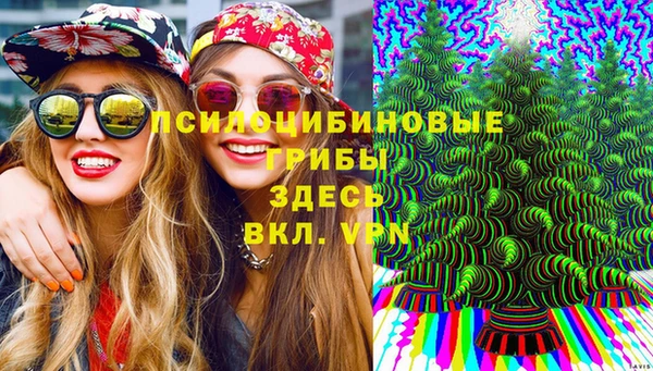 кристаллы Заводоуковск