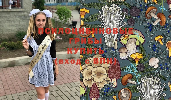 трава Заволжье
