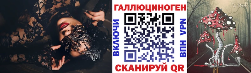 Купить закладки  Котельники  Псилоцибиновые грибы прущие грибы 