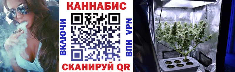 Бошки марихуана Bruce Banner  Купить где  Котельники 